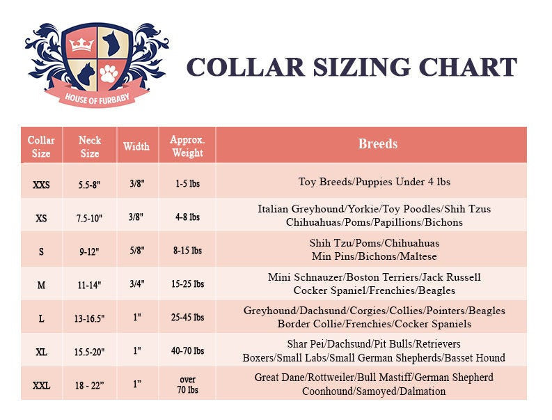 Collar | Celestial Galaxy