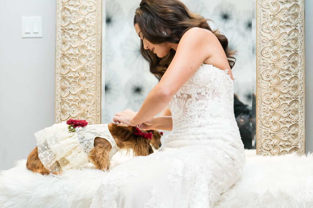 Formal Dog Dress  | The Adelaide