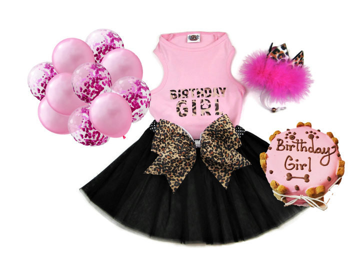 Birthday Party Package | Pink Cheetah
