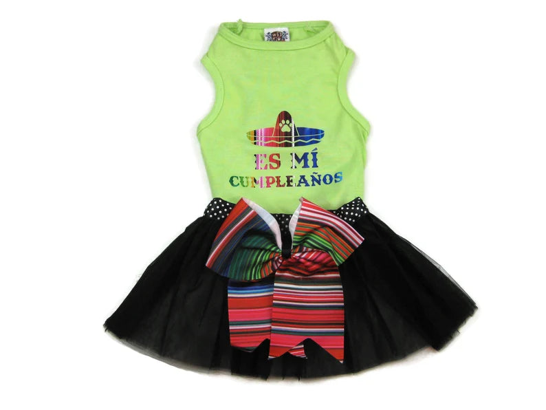 Birthday Party Package | Feliz Cumpleanos